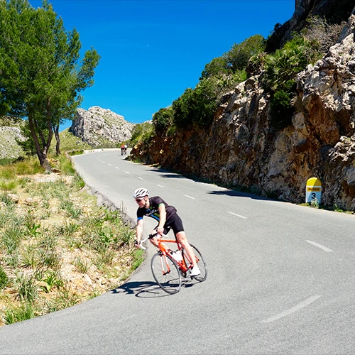 Fahrradtransfers